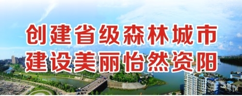 肉棒操的太舒服视频创建省级森林城市 建设美丽怡然资阳